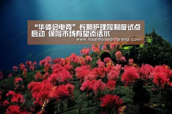 华体会下载