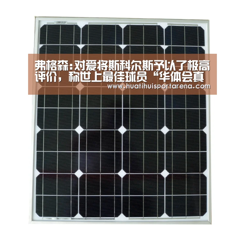 弗格森:对爱将斯科尔斯予以了极高评价,称世上最佳球员“华体会真人”(图4) 华体会APP