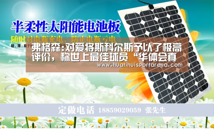 弗格森:对爱将斯科尔斯予以了极高评价,称世上最佳球员“华体会真人”(图3) 华体会电竞